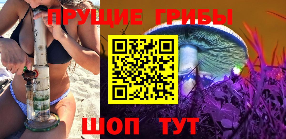 Железногорск  Псилоцибиновые грибы GOLDEN TEACHER  Вход с VPN  Псилоцибиновые грибы Psilocybine cubensis 